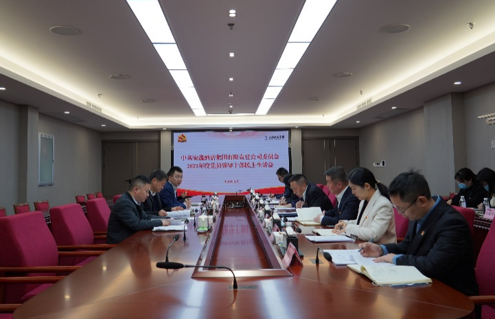 月博集团党委书记、董事长任丁出席安逸酒店集团2022年度党员领导干部民主生活会